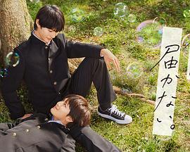 夫人是朵黑心莲海报剧照